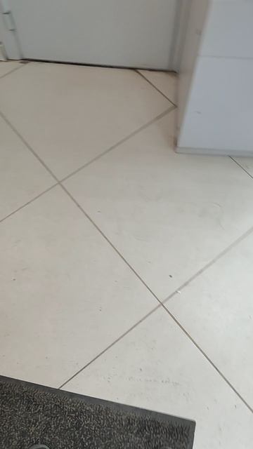 1000023650.mp4