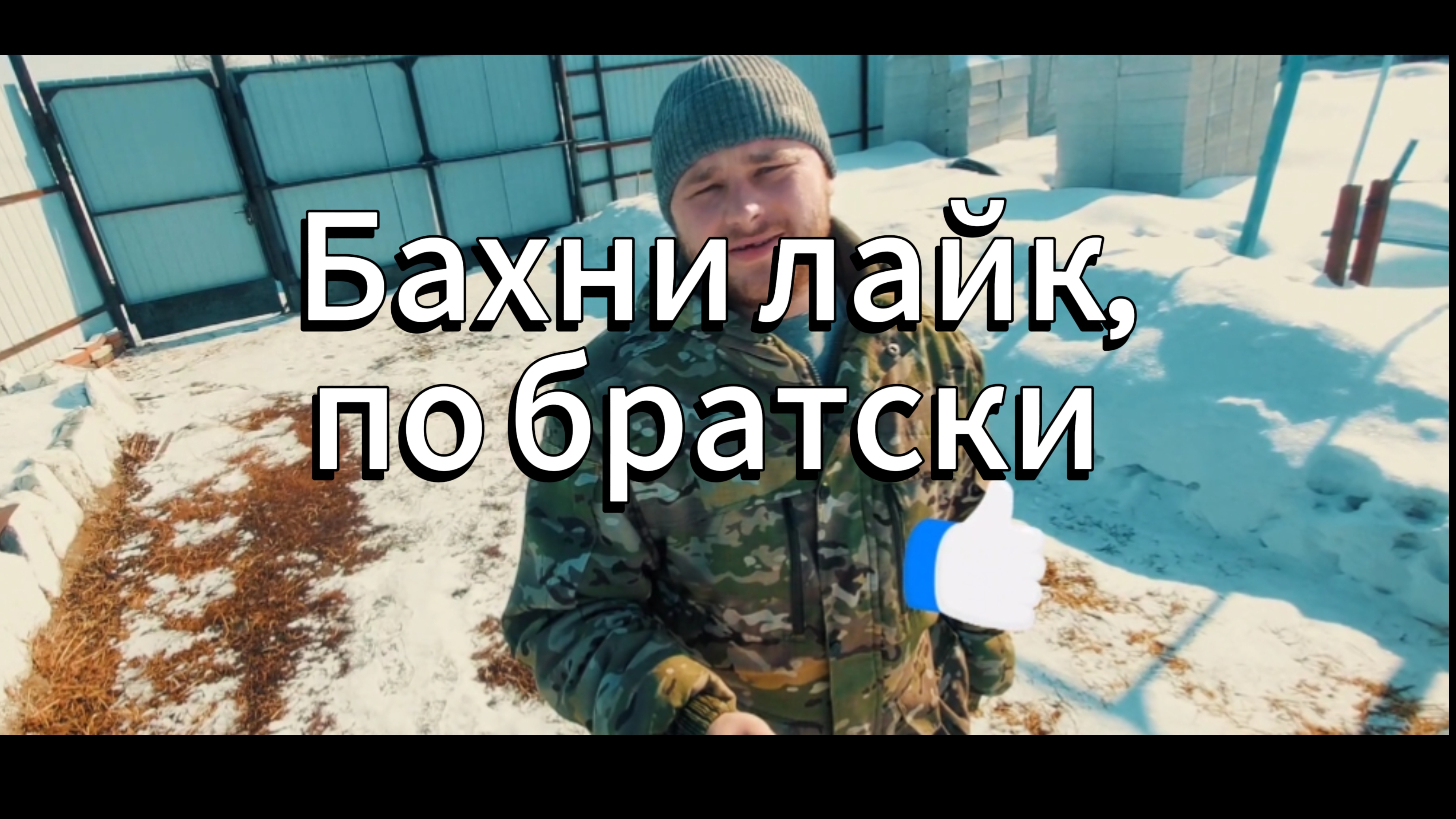 4 серия приют дали второй шанс