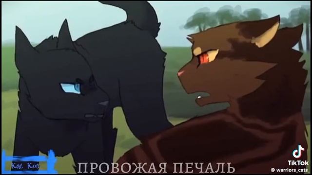 Грач и ласточка