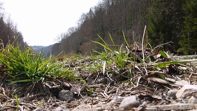 Sebring Twister, Kawasaki ZX-7R Ninja Soundcheck