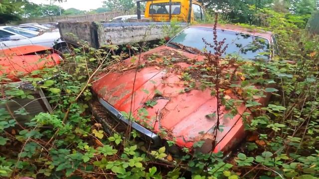UNREAL GRAVEYARD JENSEN, JAGUARS, BMW!! Why Are They Left