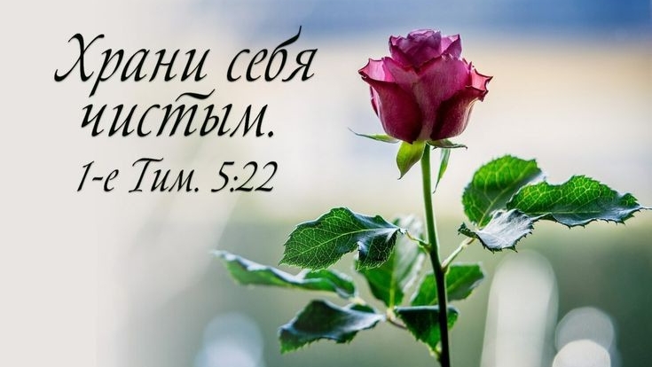 А Я желаю силой наделить | стихи христианские