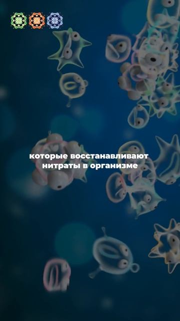 Как риск развития деменции зависит от состояния зубов? #здоровье  #лайфхак #shorts