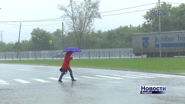 В Бердске разыскивают очевидцев нападения на водителя иномарки