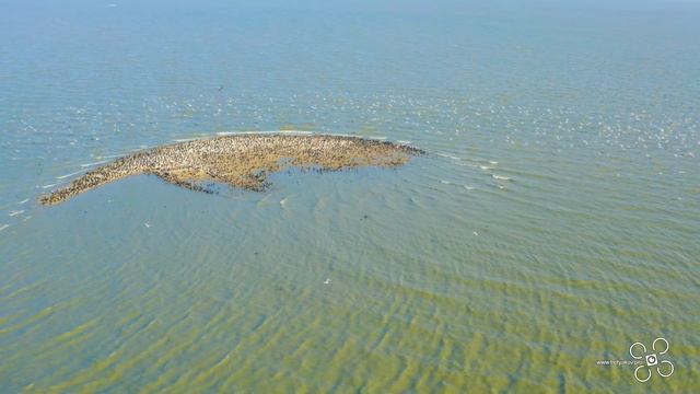 Остров Черепаха - Turtle island  - Таганрог 2021 [4K ULTRA HD] DJIMAVIC2PRO