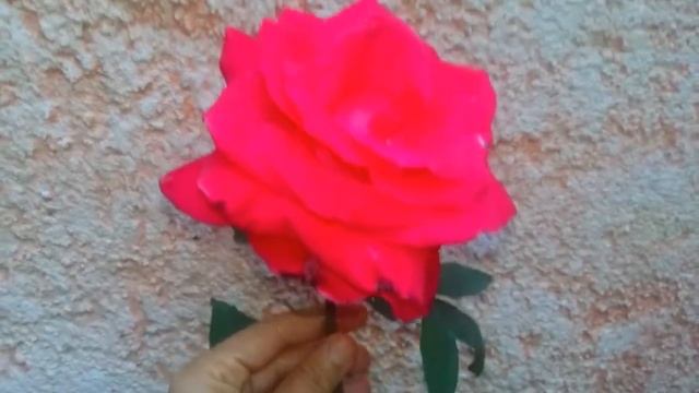 la  rose rouge يا بدع الورد يا جمال الورد