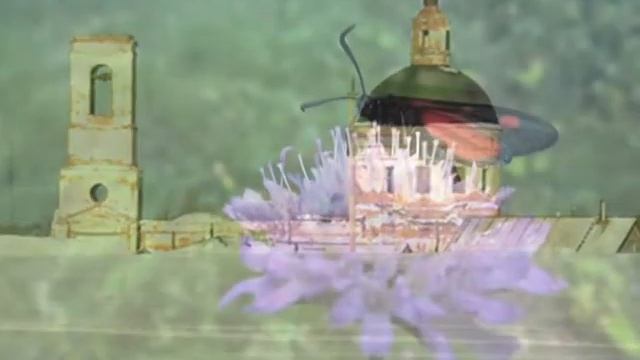 2010-06-04 МАДАЕВО Нижегородская обл. Починковский р-н. часть 2