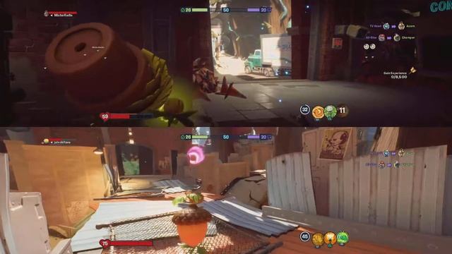 Plants vs. Zombies: Battle for Neighborville - Team Vanquish as Wildflower & Acorn