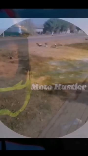 тгк:Moto Hustler #automobile #питбайк #эндуро #рекомендации #мопед #топ #кайфуй #альфа #31 #2025