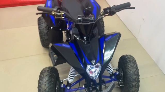 Детский квадроцикл MOTAX GEKKON E1300 синий