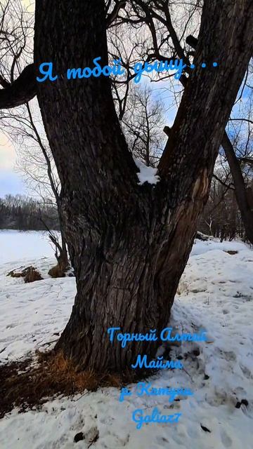 Вечерняя прогулка...