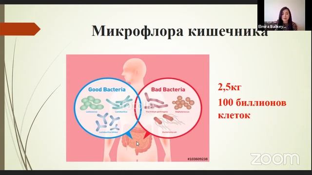 ЭкспертЛанч "Поллиноз. Пути решения проблемы"