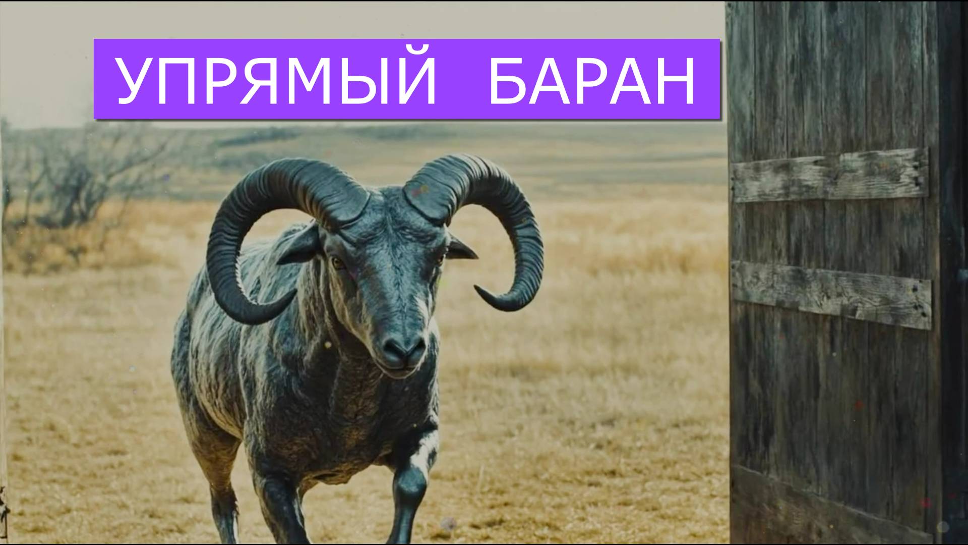 Аудио СКАЗКА "Упрямый баран" . Автор Владимир Коряковцев. Читает Нейро - МИШКА#литература#сказки