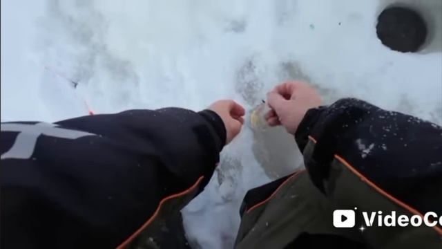 рыбалка в марте