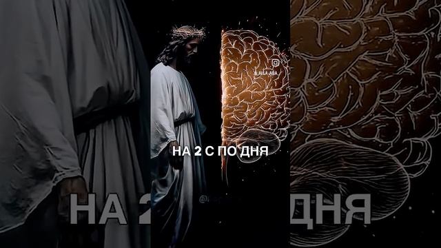 Бог создал Нас. Наука про.
