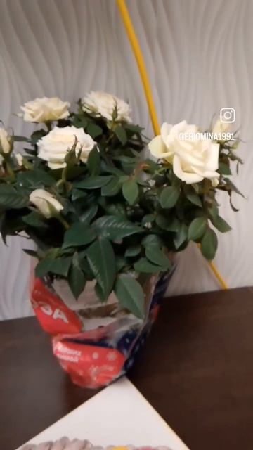 Торт на праздник 🎂🥰