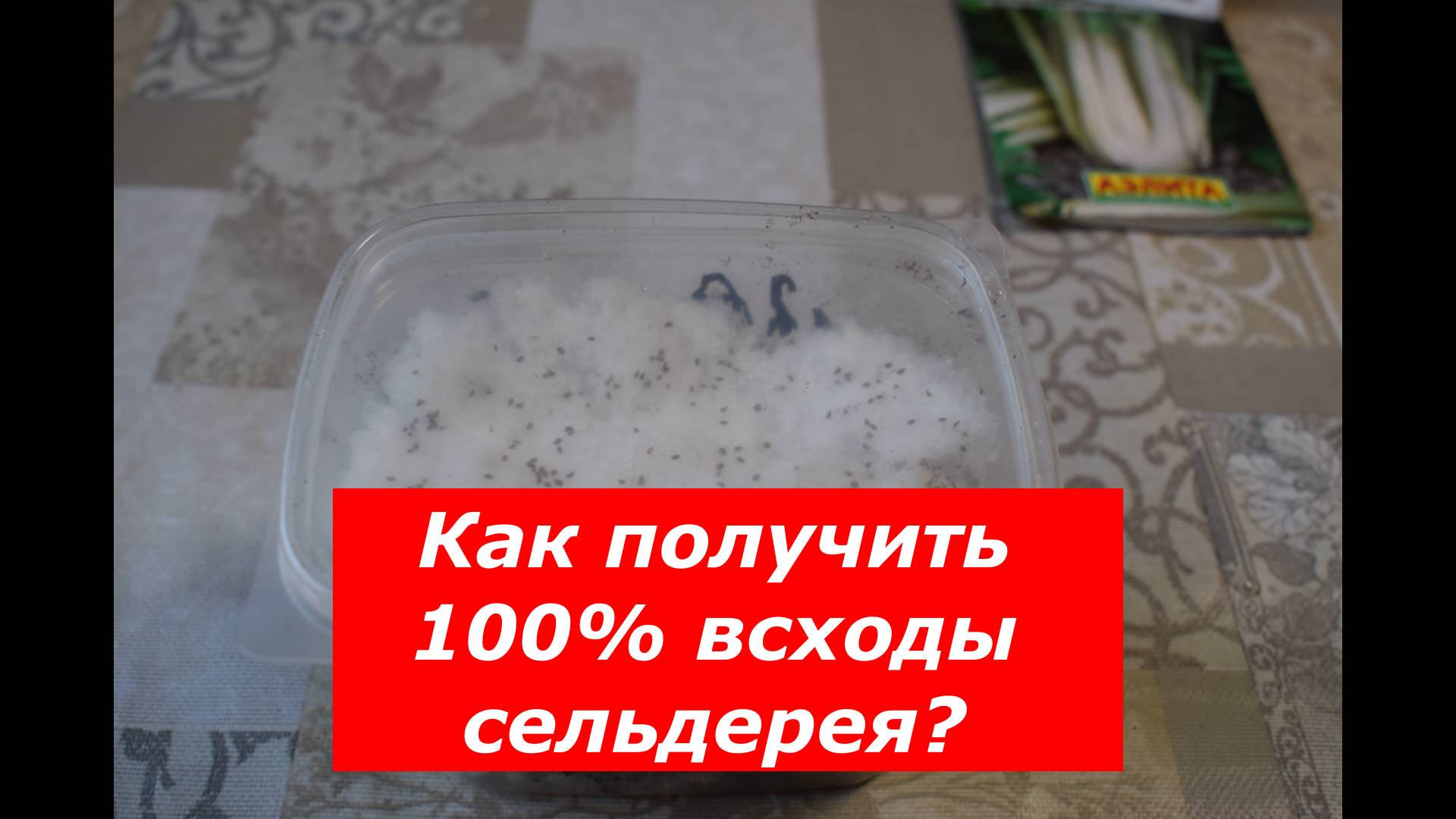 Только эти условия дадут 100% всходы сельдерея #овощи #семена #лайфак #сельдерей