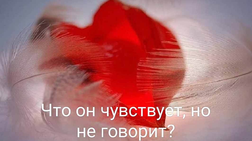 Что он чувствует, но не говорит Вам?