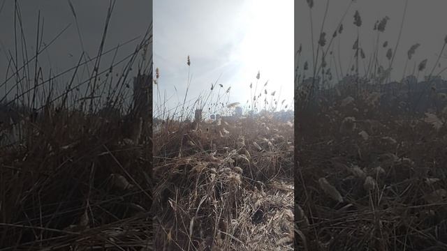 Прогулка по Донецку