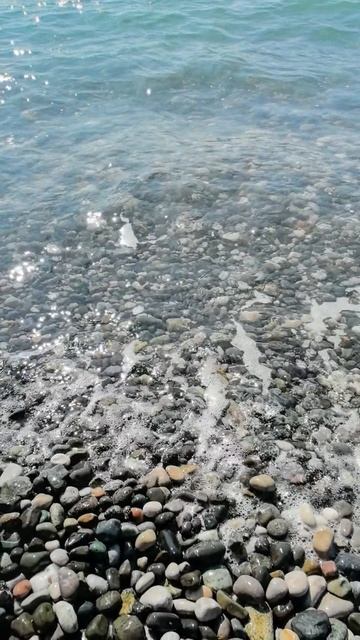 Что на пляжах Абхазии?