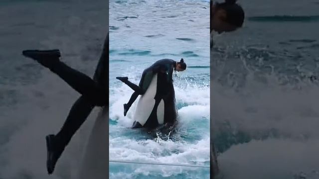Любовь к миру