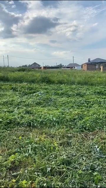Покос травы на участке