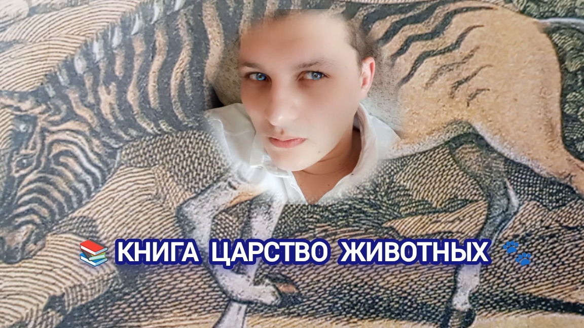📚 книга Царство животных 🐾
