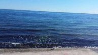 Подруга - чайка