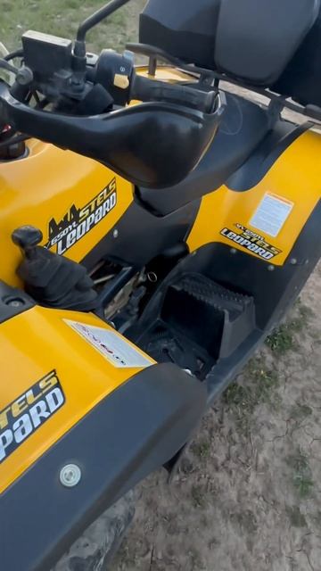 Вайб? #квадроцикл #automobile #offroad #stels #mud #stelsleopard #atv #cfmoto #cforce