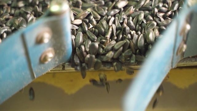 Особенности производства гибридов RELIX