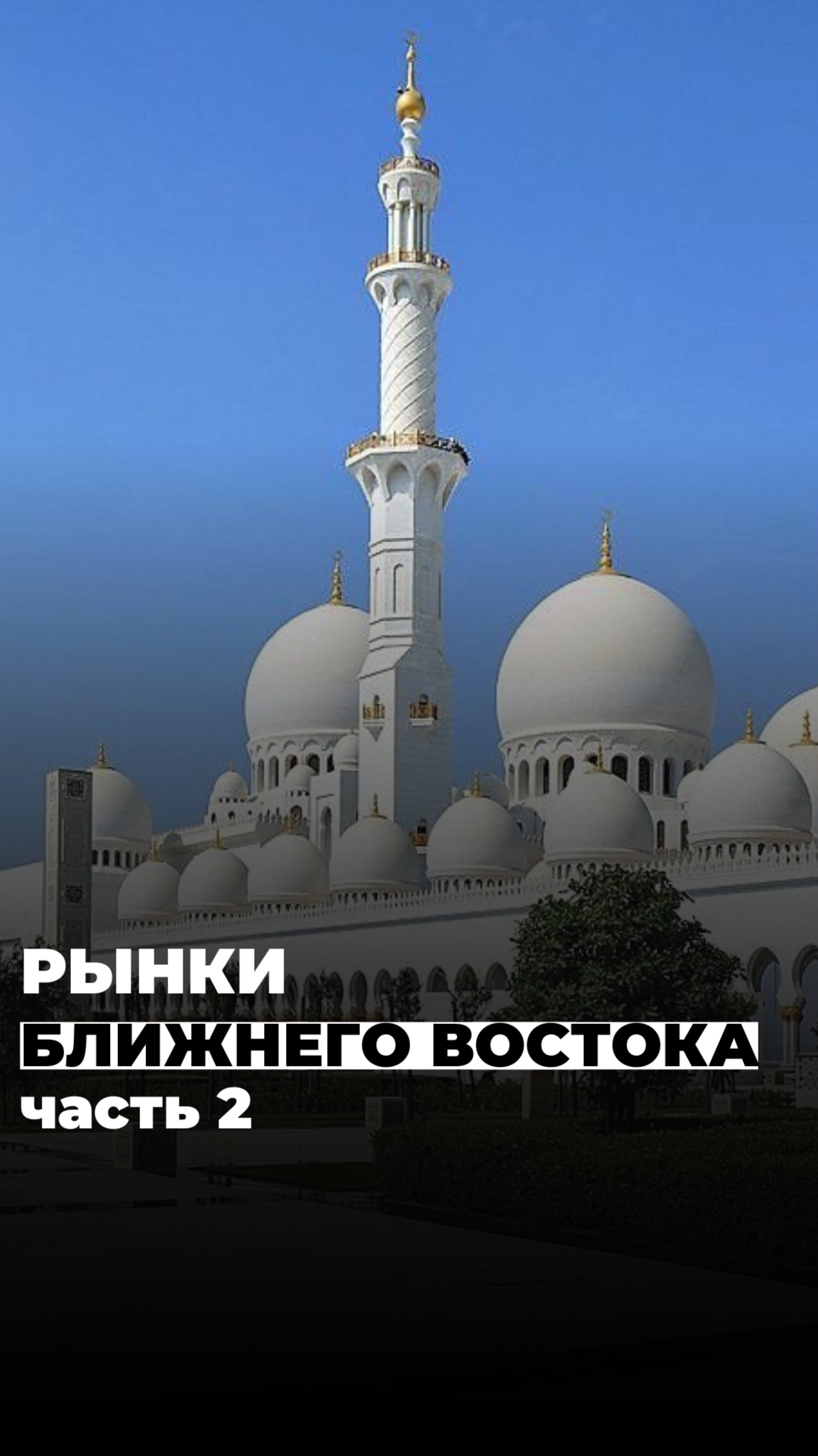 РЫНКИ БЛИЖНЕГО ВОСТОКА