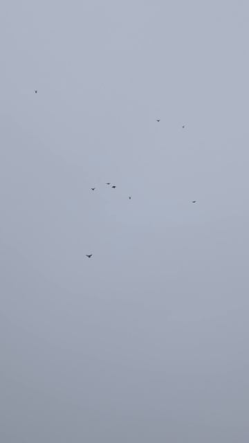1000006179.mp4