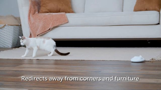 PetSafe® Zip Automatic Laser Cat Toy