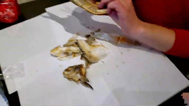 Yasha tries vobla - Russian dried fish!