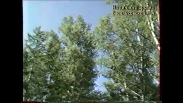 К 100-летию А. М. Васильковского