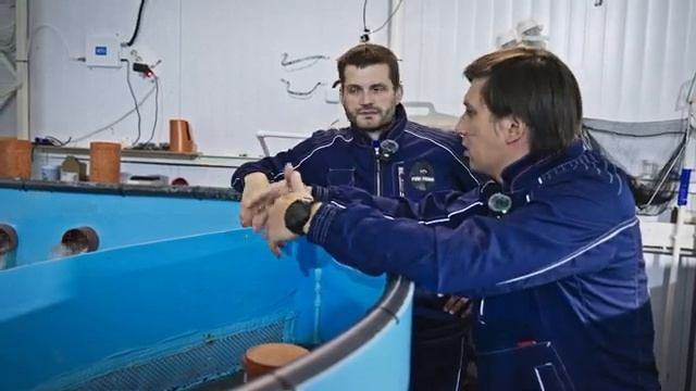 Биологическая оксигенация с помощью хлореллы в УЗВ. Как поднять кислород в УЗВ?