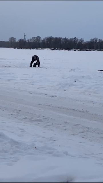 VID-20250303-WA0005.mp4