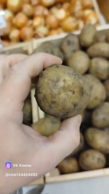 В макете продают гнилую картошку