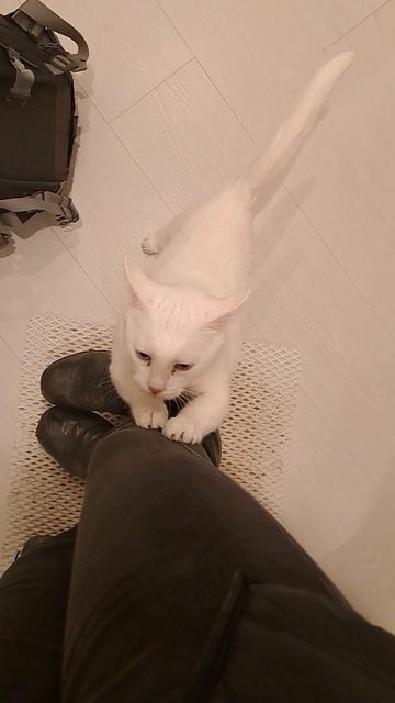 Можно я с тобой?