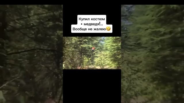 типа медведь