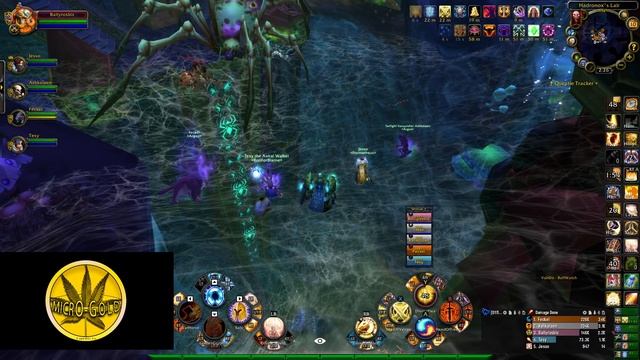 New Gamma Dungeon Azjol Nerub RDF Wotlk ICC With Ballyrosbis Prot Paladin POV