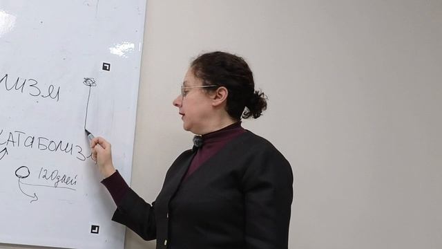 метаболические основы нутрициологии
