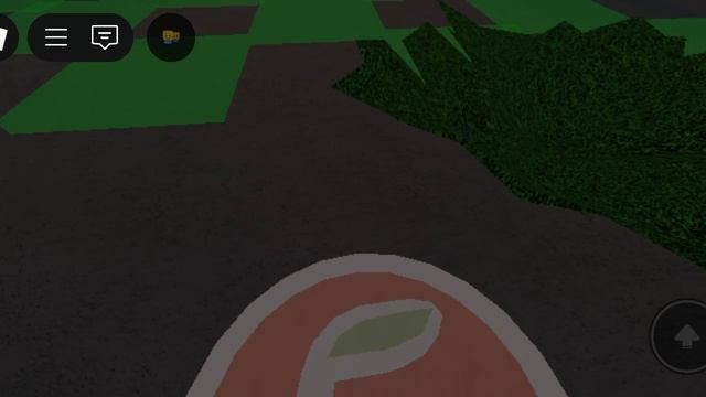 бобег из пятёрочки в roblkc
