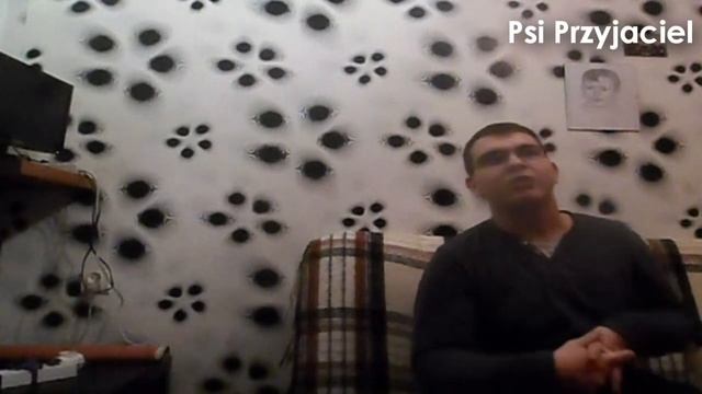 Pierwszy filmik na kanale "Psi Przyjaciel"