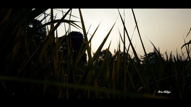 Cinematic Video di Sumber Tapan