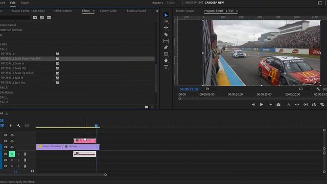 PIPs | Picture In Picture | All Presets Explained-6 | Premiere Pro | Life In Layers