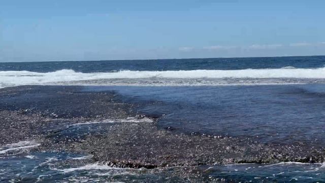 Sydney, Australia 4K 60fps - Mona Vale Beach | 거센 파도가 암반 위에 콸콸콸 졸졸졸