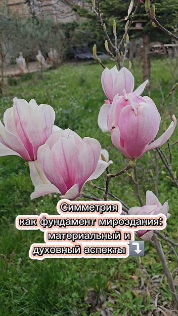Симметрия как фундамент мироздания: материальный и духовный аспекты