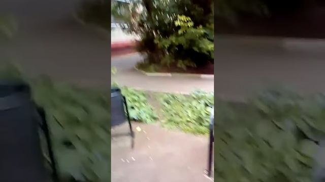 Эпик звук. Ксюха кидает мячик со второго этажа.