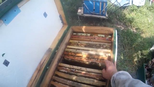 История одного отводка